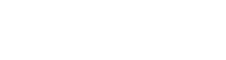 Logo DataBird : le nom de l'école de formation data en lettres blanches
